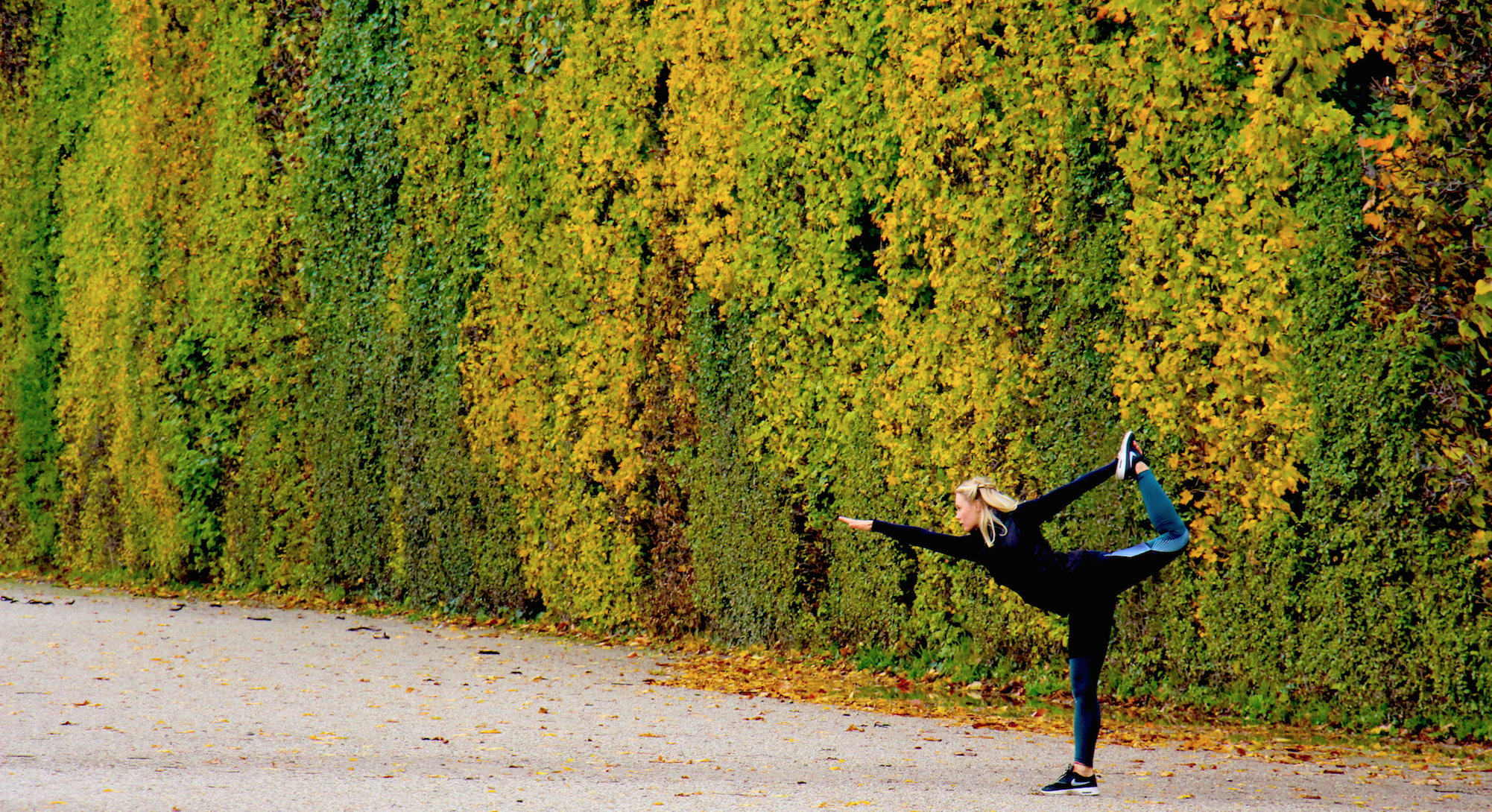 Herbst Yoga